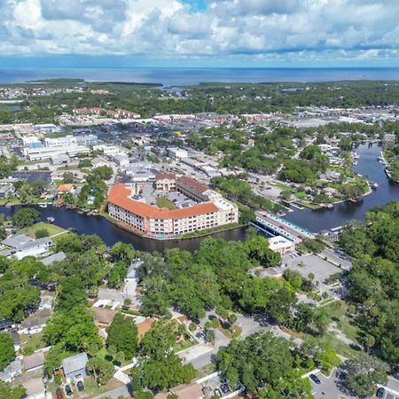 Walk Everywhere! 1-Bedroom Gem In Downtown Hub New Port Richey Ngoại thất bức ảnh