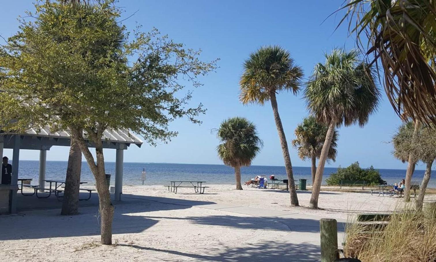 Walk Everywhere! 1-Bedroom Gem In Downtown Hub New Port Richey Ngoại thất bức ảnh