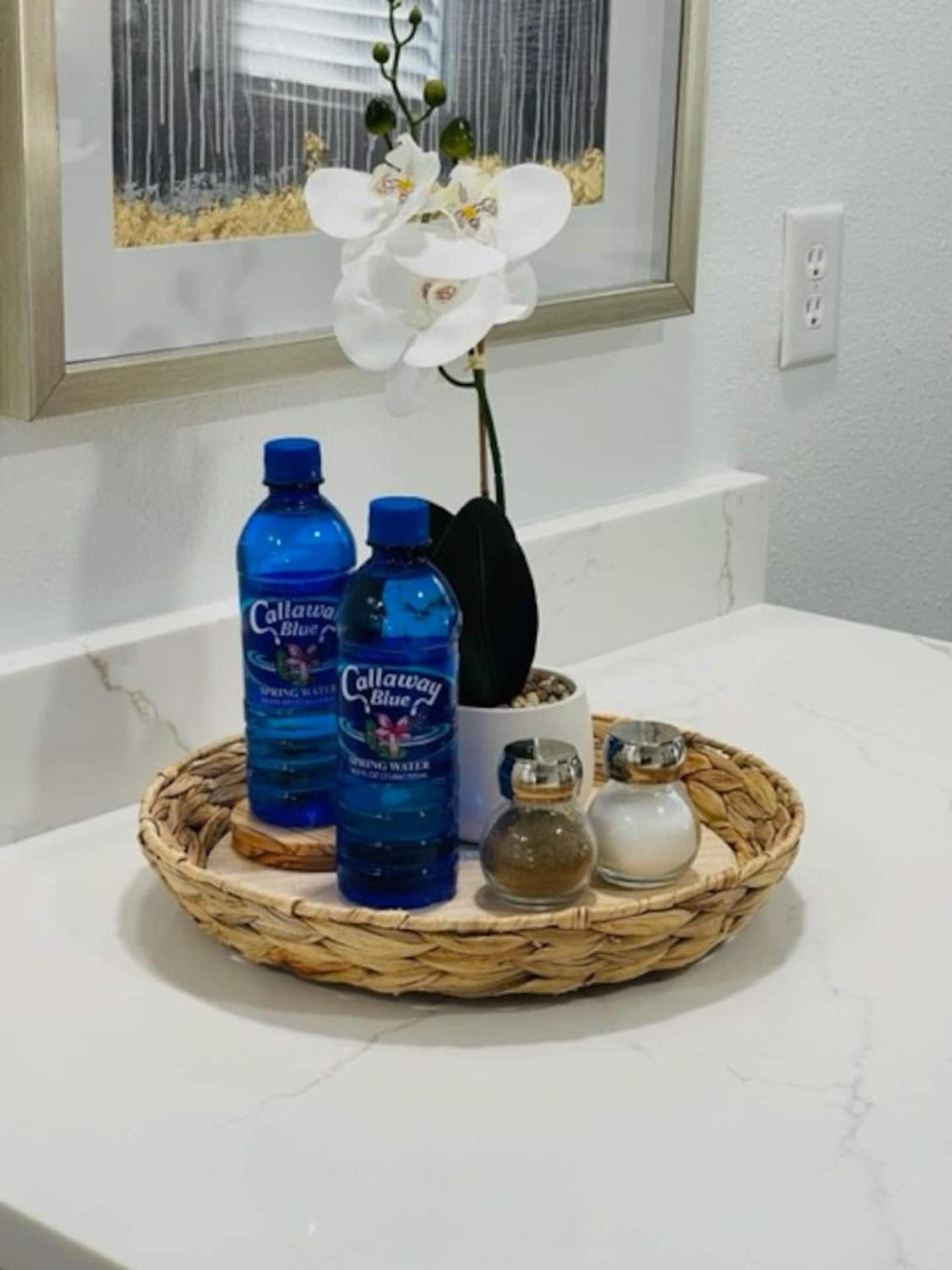 Walk Everywhere! 1-Bedroom Gem In Downtown Hub New Port Richey Ngoại thất bức ảnh
