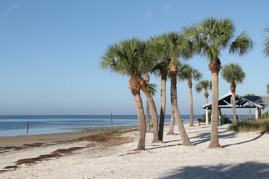 Walk Everywhere! 1-Bedroom Gem In Downtown Hub New Port Richey Ngoại thất bức ảnh